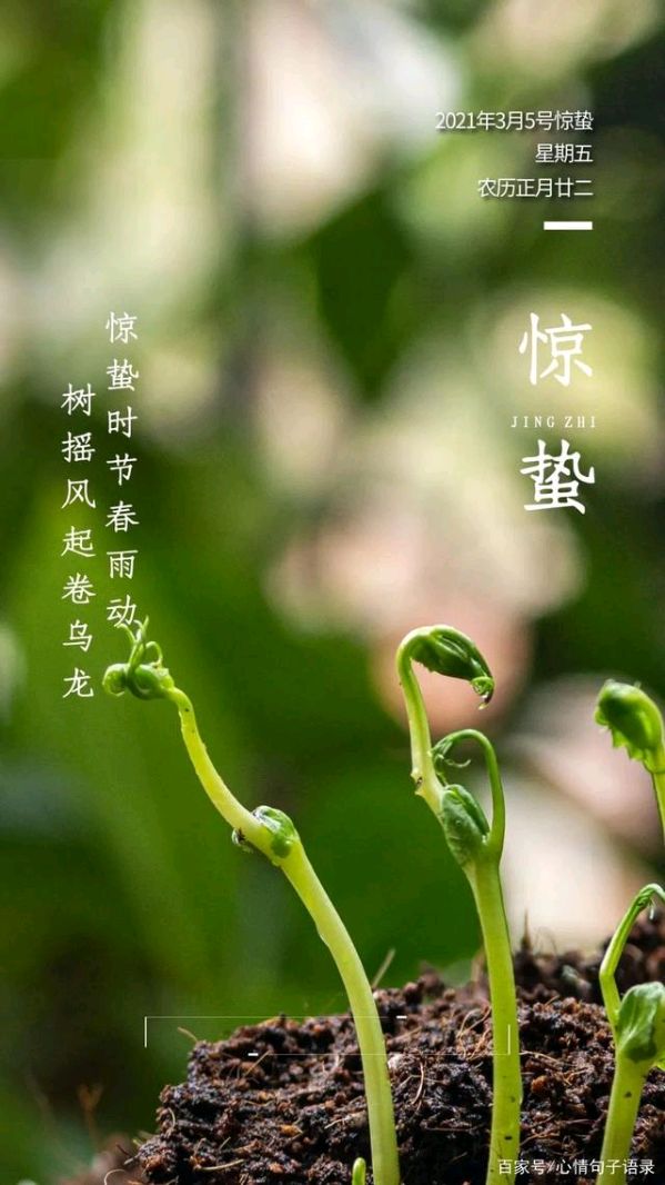 《九江文学社：北京头条》《惊蛰节气》专刊【总第2009期】（图21）
