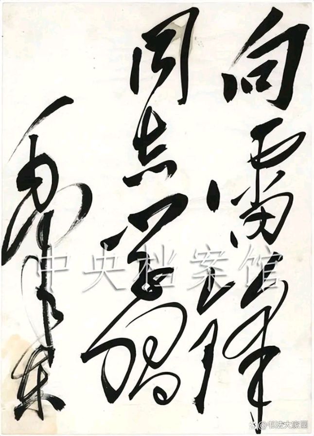 三月,一个响亮的名字(二)(图3)
