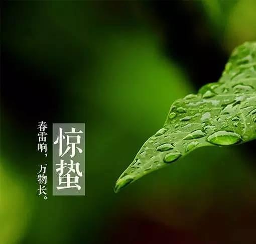 春雷响,万物长!“惊蛰”节气的民间习俗