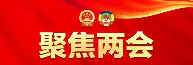 【专题推荐】鲁坡//盛赞两会[春韵抒怀系列作品展]（图3）