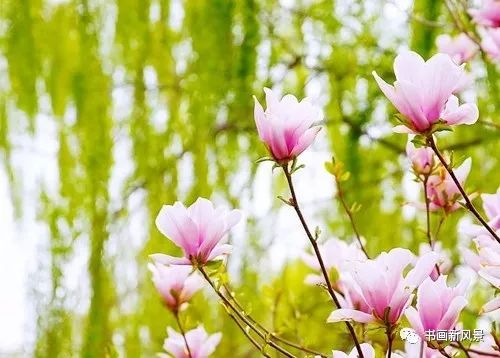 藏头诗:春暖花开万物复苏 文/王俊杰(天津)（图3）