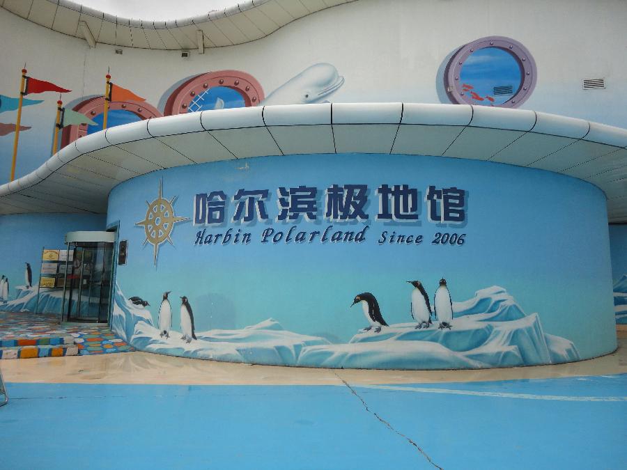 微信图片_20240306165121 微信图片_20240306165121