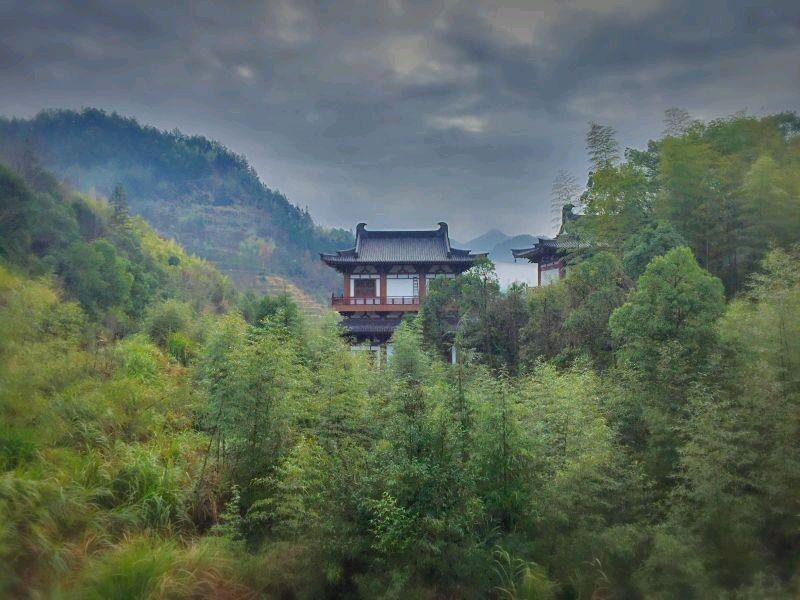 《“眼儿媚，醉太平”现代古诗新作》作者:龙游天下。朗读者:刘仁平(笔名:临风省心)[中国现代诗歌文化传媒]（图8）