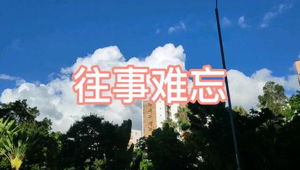 【经典推荐】“农民诗人”曹南强//行香子•过新年[春韵抒怀系列作品展]（图4）