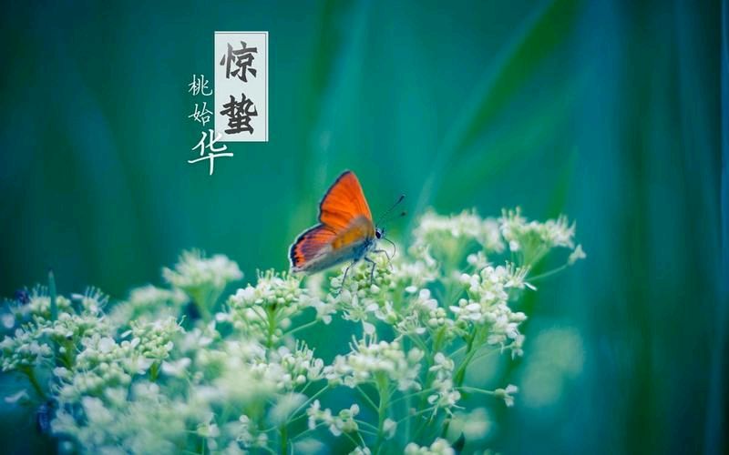 【经典推荐】“农民诗人”曹南强//行香子•过新年[春韵抒怀系列作品展]（图10）