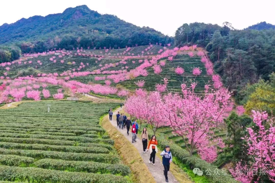 【经典推荐】“农民诗人”曹南强//行香子•过新年[春韵抒怀系列作品展]（图9）