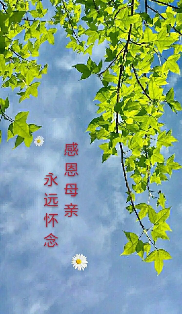 七律-三八赋(组合)诗||白小文(图17)