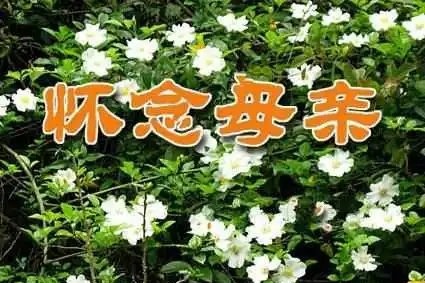 七律-三八赋(组合)诗||白小文(图16)