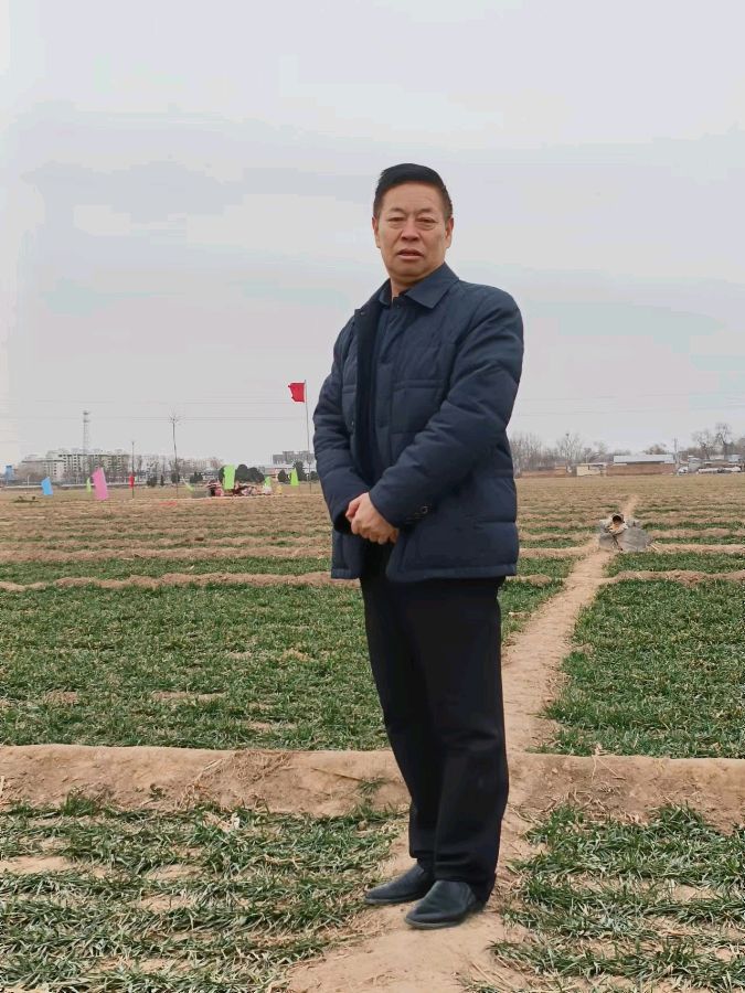 升华的情谊 ‖ 作者/月牙河 朗诵/琦琦赵（图2）