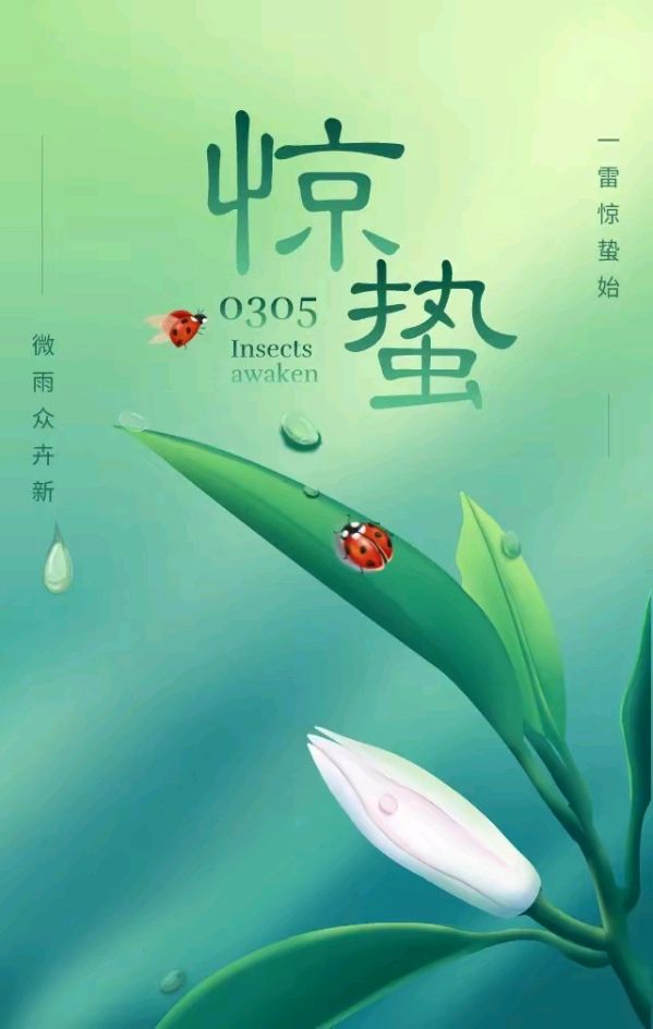 《“梨花″，“情在惊蜇'现代古诗鉴赏》作者:龙游天下。配乐：《惊蜇》。[中国现代诗歌文化传媒]（图6）
