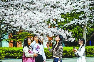 联机全球发布毕寿延作品欣赏（图5）