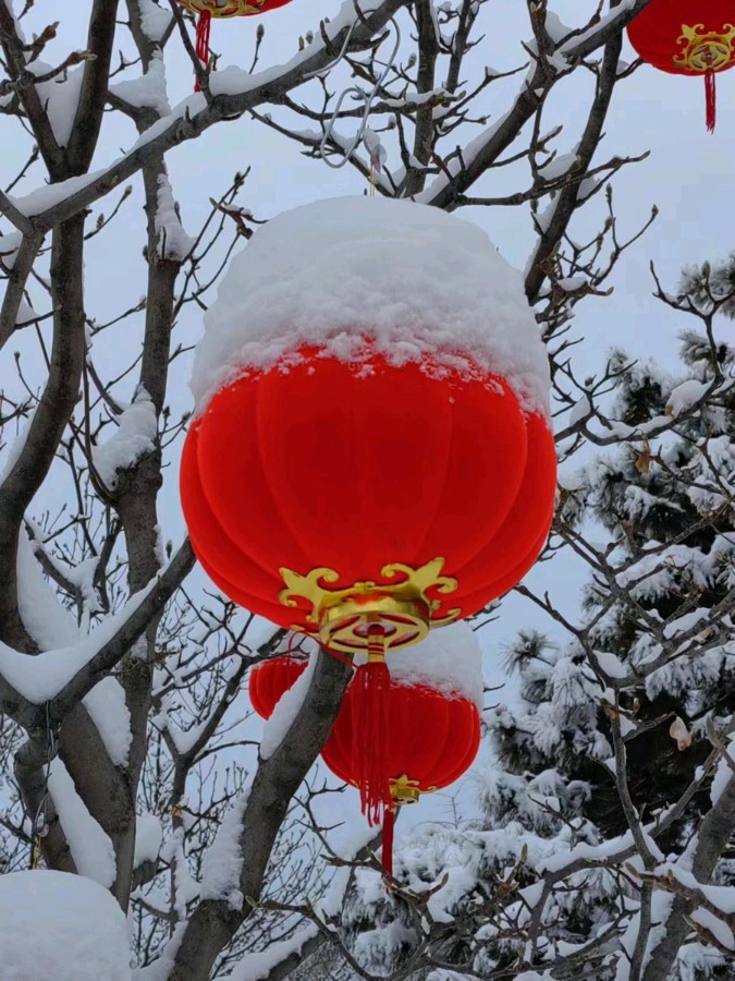 春之初（图3）