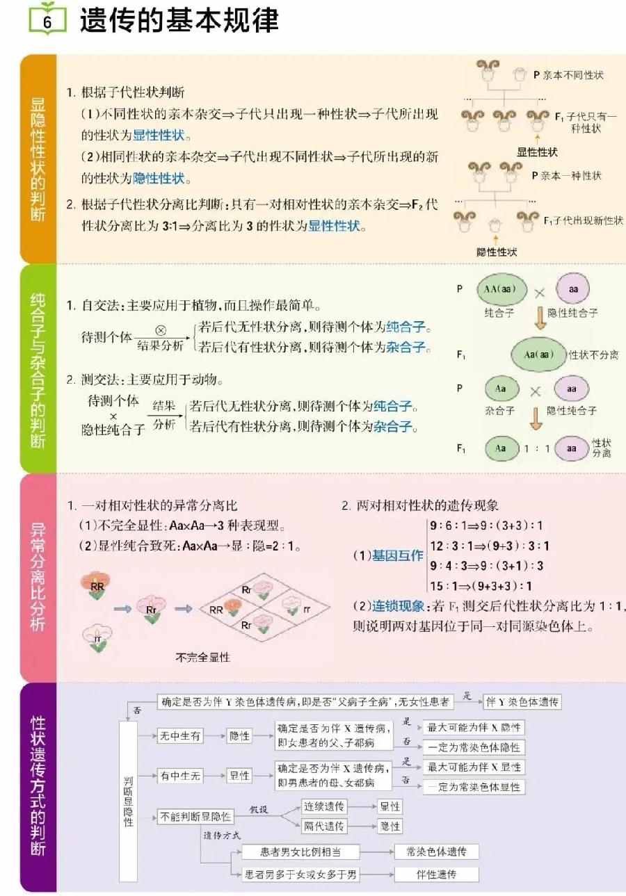 高考生物主干知识清单（图6）