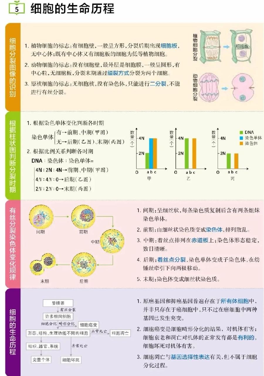 高考生物主干知识清单（图5）