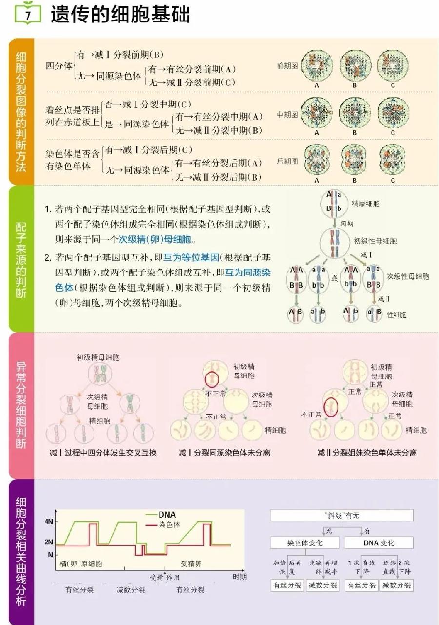 高考生物主干知识清单（图7）