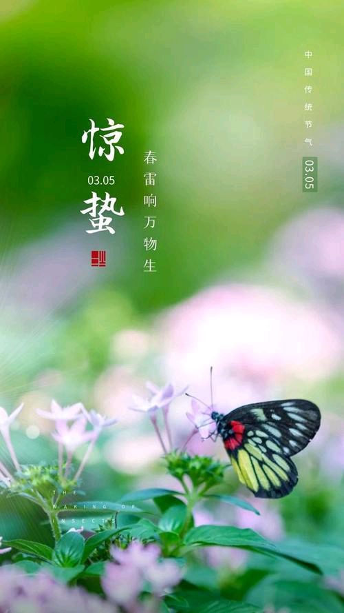 【新山东文学社】《惊蛰推醒万物》作者/张旭 主播/雨花石（图6）