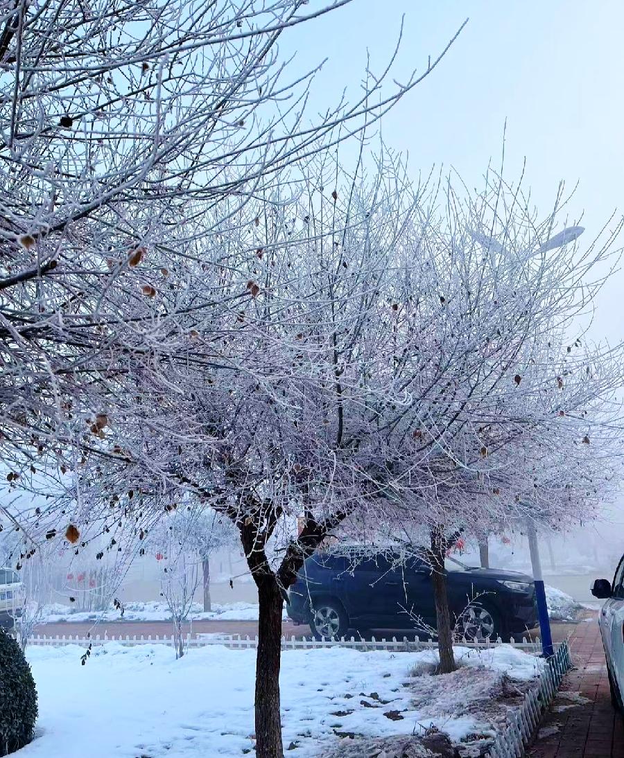 【都市头条向幸福出发编辑部】第10651期 风景（图2）