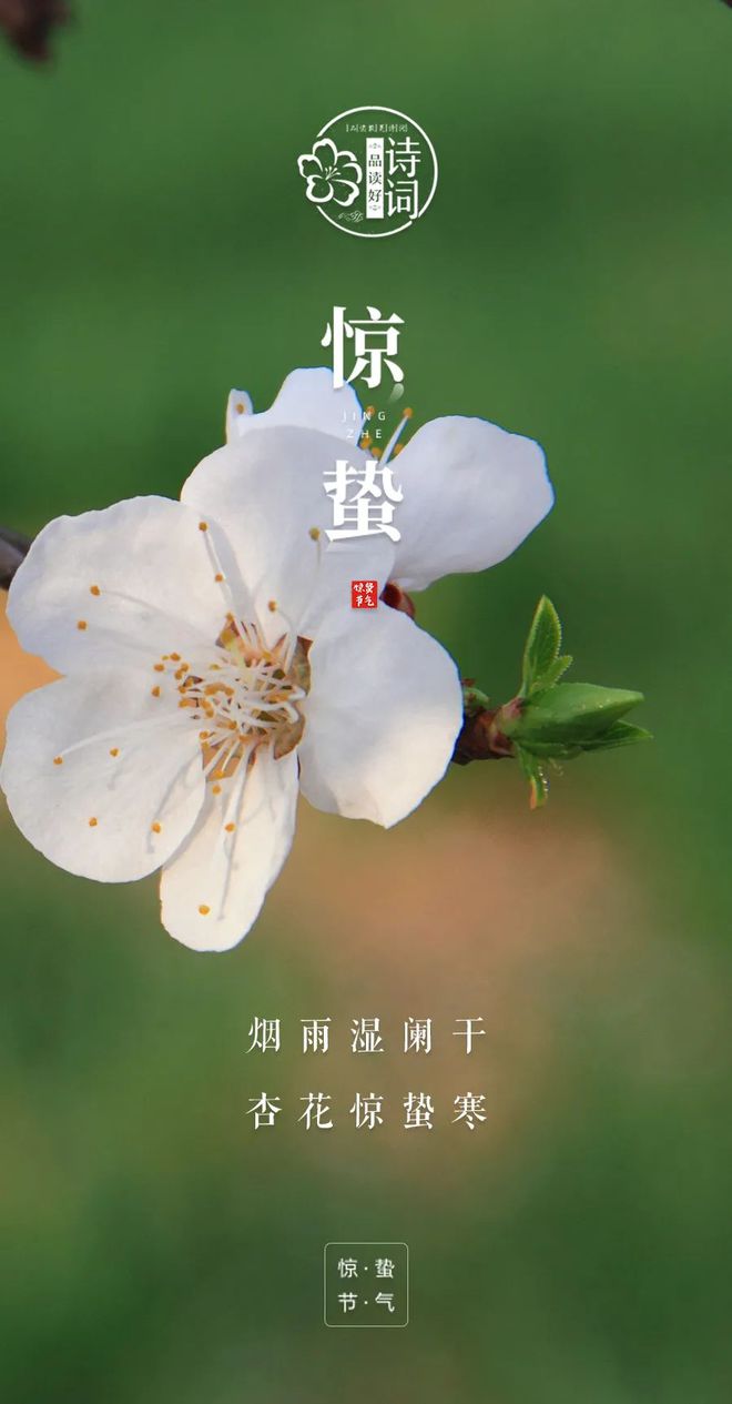 解连环-惊蜇春思～词||刘瑞宝（图8）