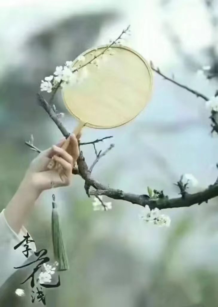 春日情深（文/空谷幽蘭）……莲叶之珠文学社