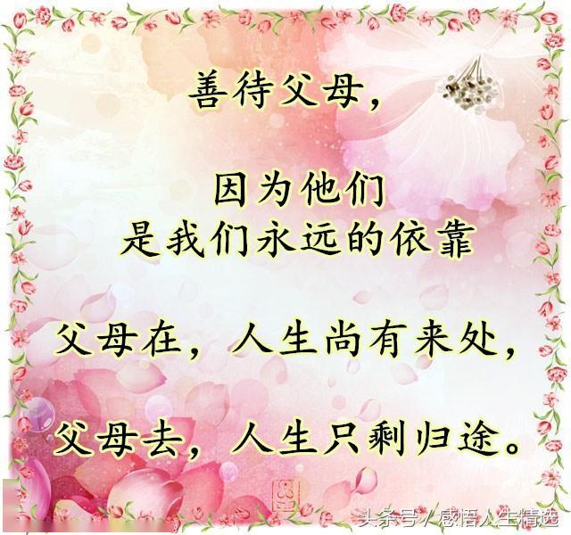 金子朗诵《金句》专集之十四；收集：金华(李敬党)；编辑：开心快乐【运河之春】(第148期)（图9）