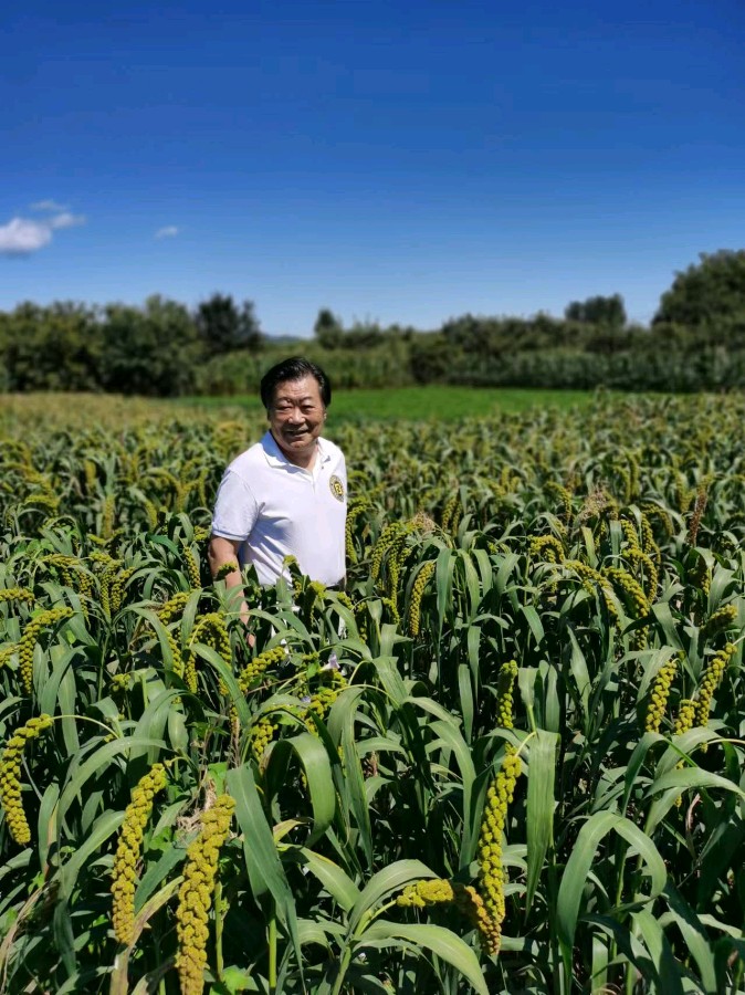 北京市书法家李奎芳先生唯美书法作品专辑欣赏∥中国桂林都市漓江诗书画社微刊总（第147期）（图31）