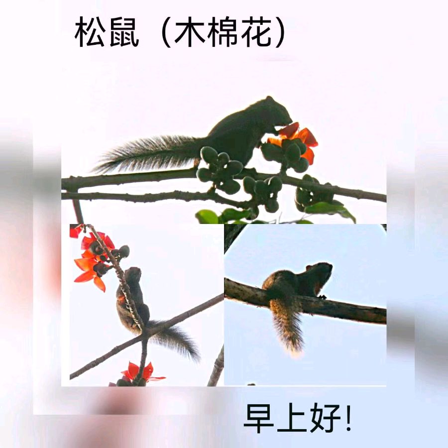联机全球发布马洪武作品欣赏（图164）