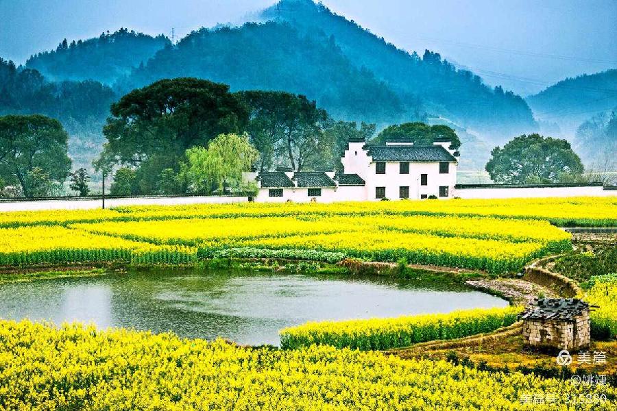 三月时光～诗||旗袍（图13）
