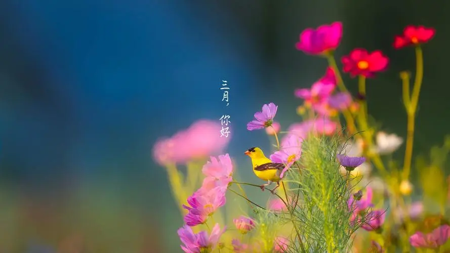 【上海头条】诗生活‖微型诗专栏 112 期（图2）