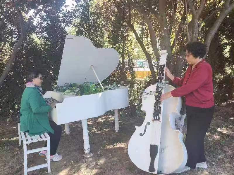 远赴华南寻胜景情牵故里韵裁诗(原创格律诗)作者/金蘭（图11）