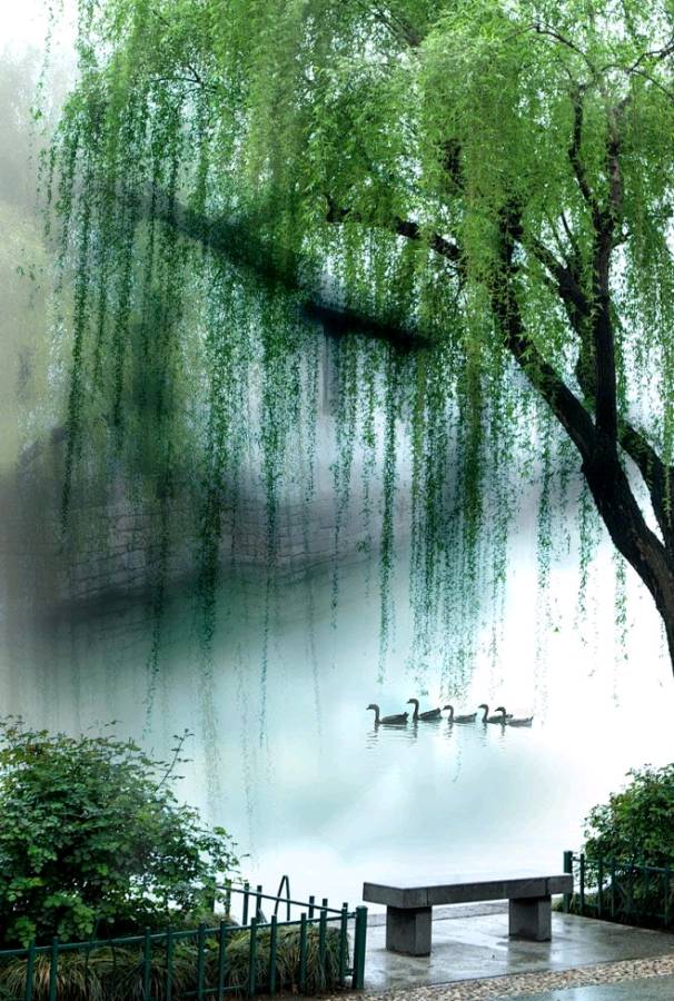女人是水 女人如花（外一首）诗||旗袍（图17）