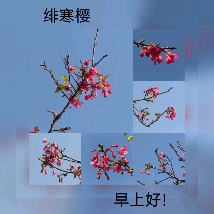 联机全球发布马洪武作品欣赏（图159）