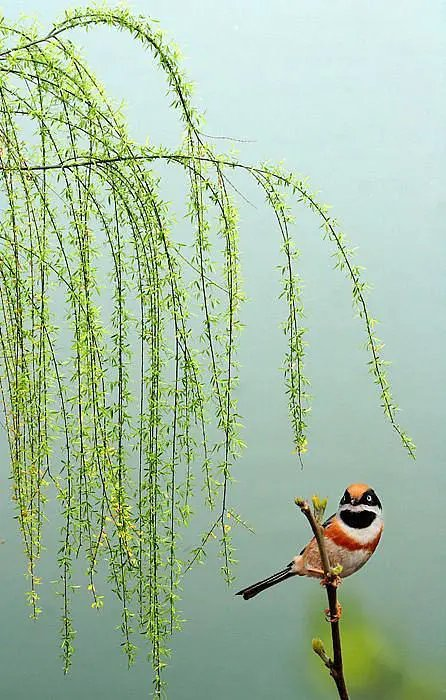 喜迎龙抬头～诗||李永康（图11）