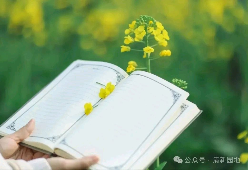 不 负 春 天 ‖ 作者/雷金钟 朗诵/弘华（图4）