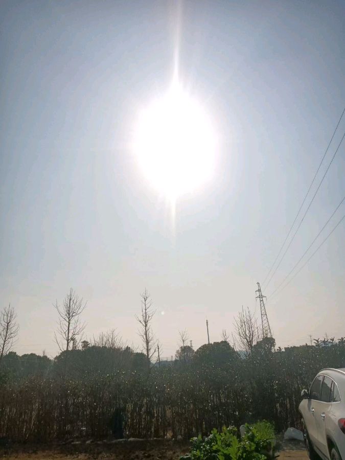 雨中情