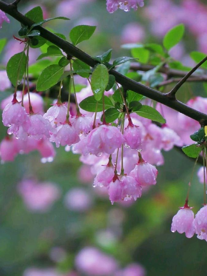 请欣赏梁灼安、李由等老师今日头条一日一联（图16）