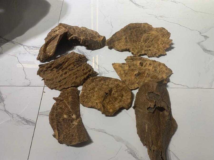 中华诗艺社推荐【散文】/王立波:轻烟缭绕话沉香(图11)