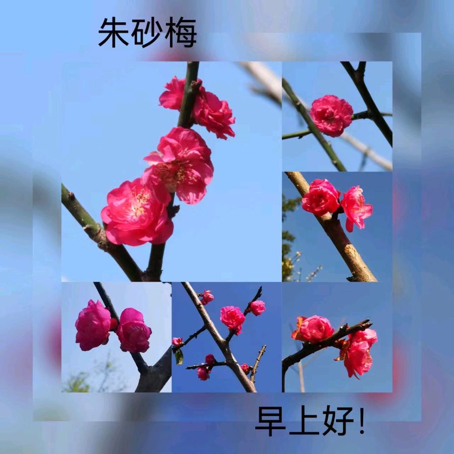 联机全球发布马洪武作品欣赏（图158）