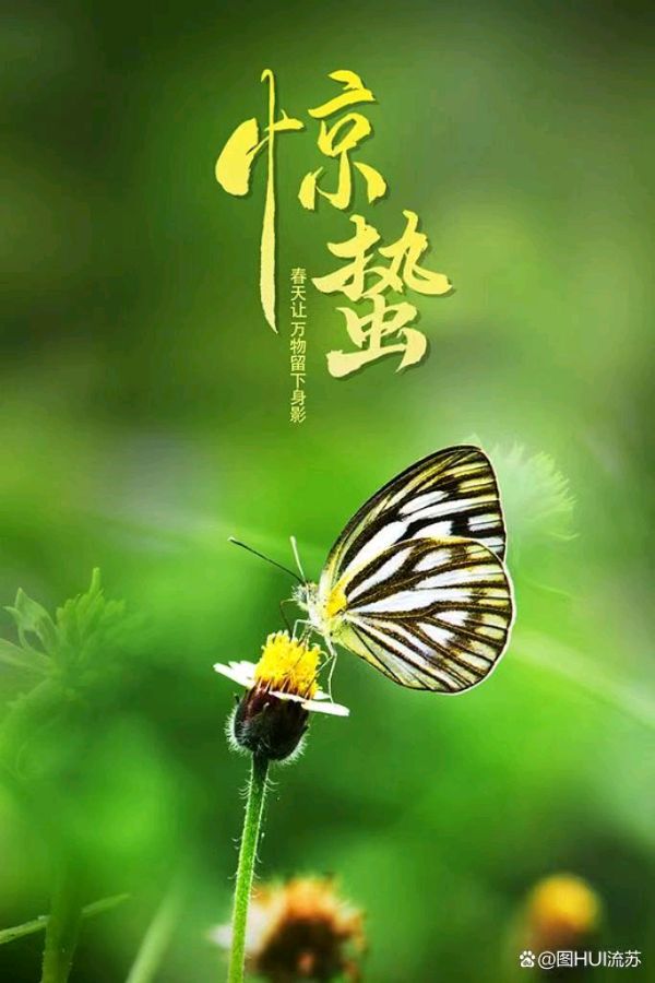 【荣耀中国】曹瑜老师题图诗第117期（图14）