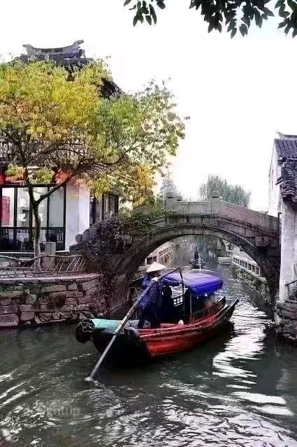 【荣耀中国】曹瑜老师题图诗第117期（图3）