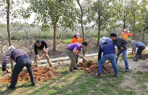 【专题推荐】杨武军//写在植树节（图4）