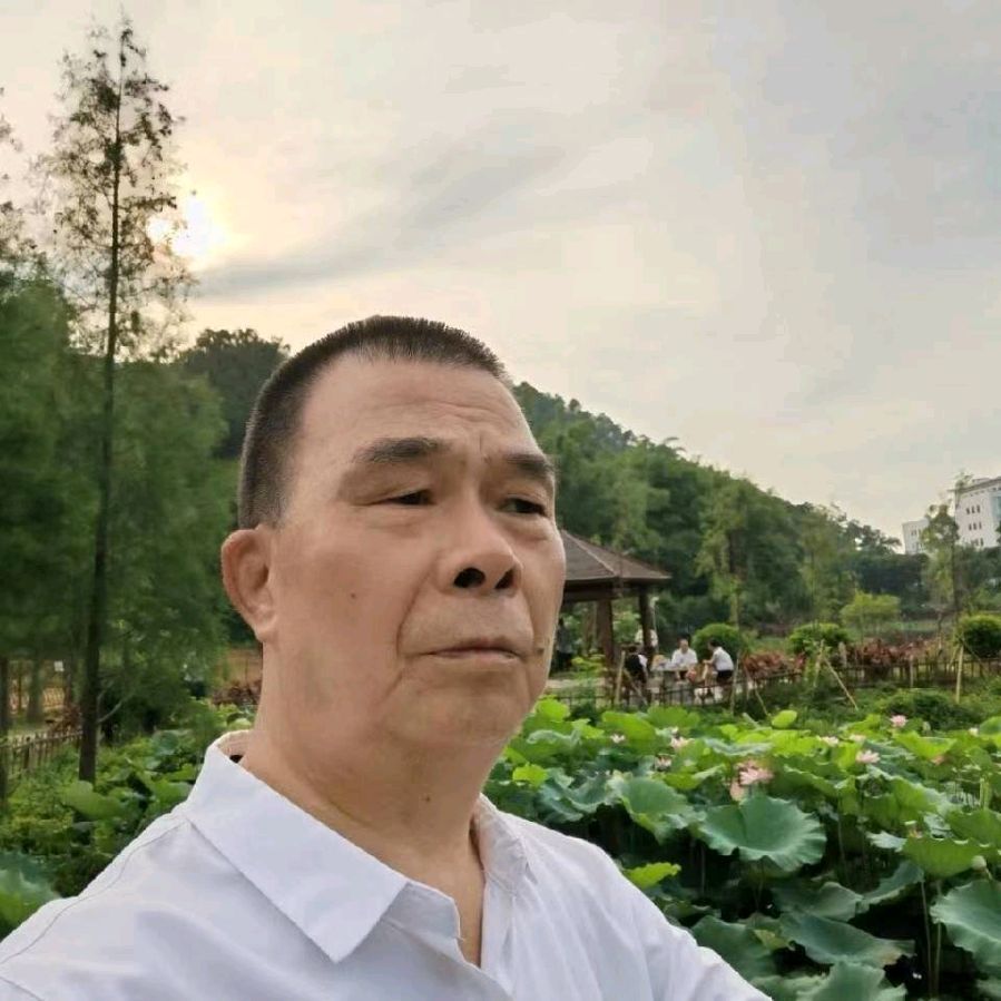 【荣耀中国】广东云浮南山翁（張國盛）《人民生活无限美 》 第三十七集星期二诗十（图8）