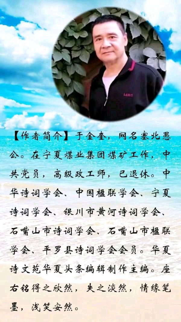 中华诗艺社【黑龙江分社】微刊第338期(图37)