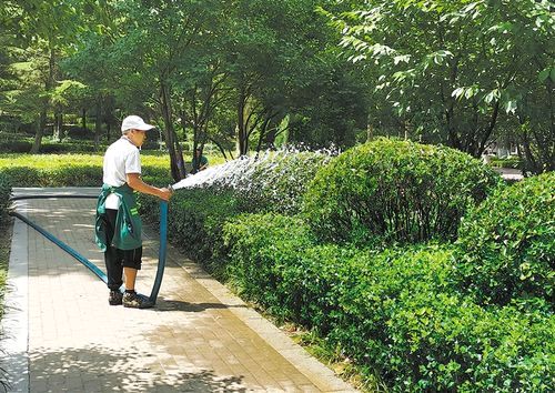 《游园惊梦》作者:丝雨【主播:芳草青青】【桃源国际诗歌文化传媒】用声音传递温暖以诵读致敬人生♬（图9）