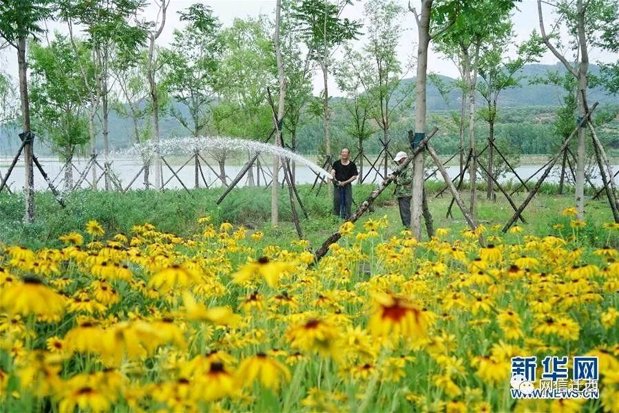《游园惊梦》作者:丝雨【主播:芳草青青】【桃源国际诗歌文化传媒】用声音传递温暖以诵读致敬人生♬（图8）