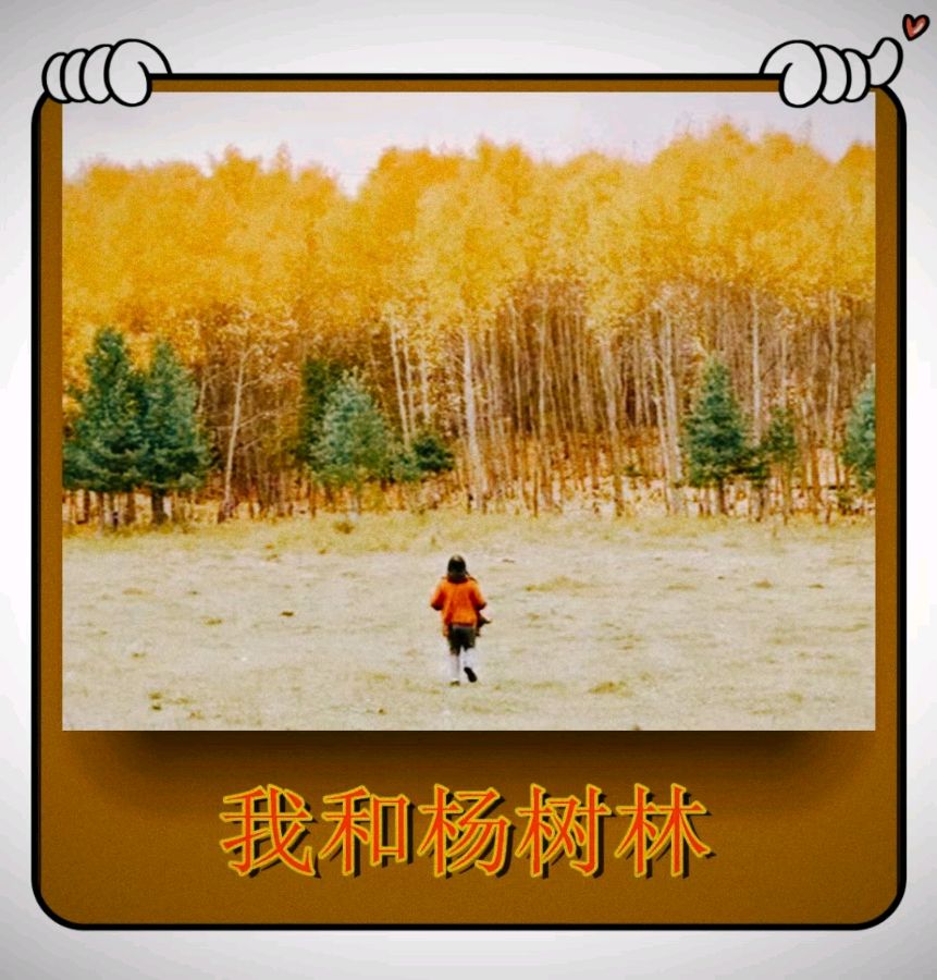 我的杨树林 ——植树节怀想-文/李铁民-西银/北京头条（图2）