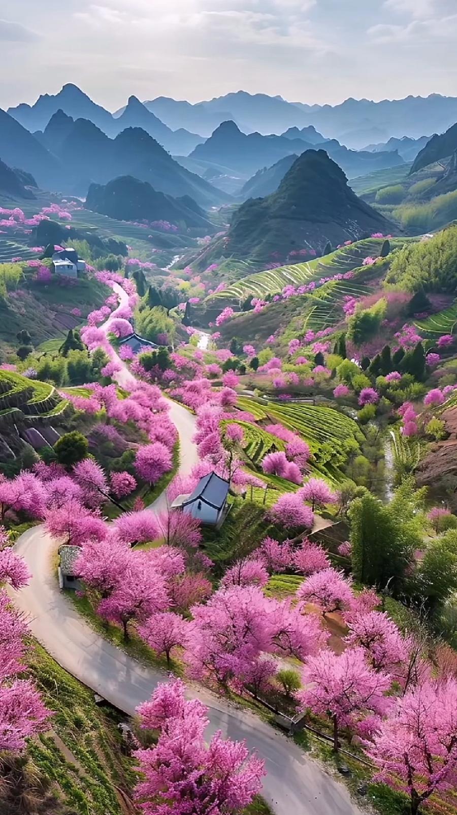 排律-植树还林～诗||杨景儒（图9）