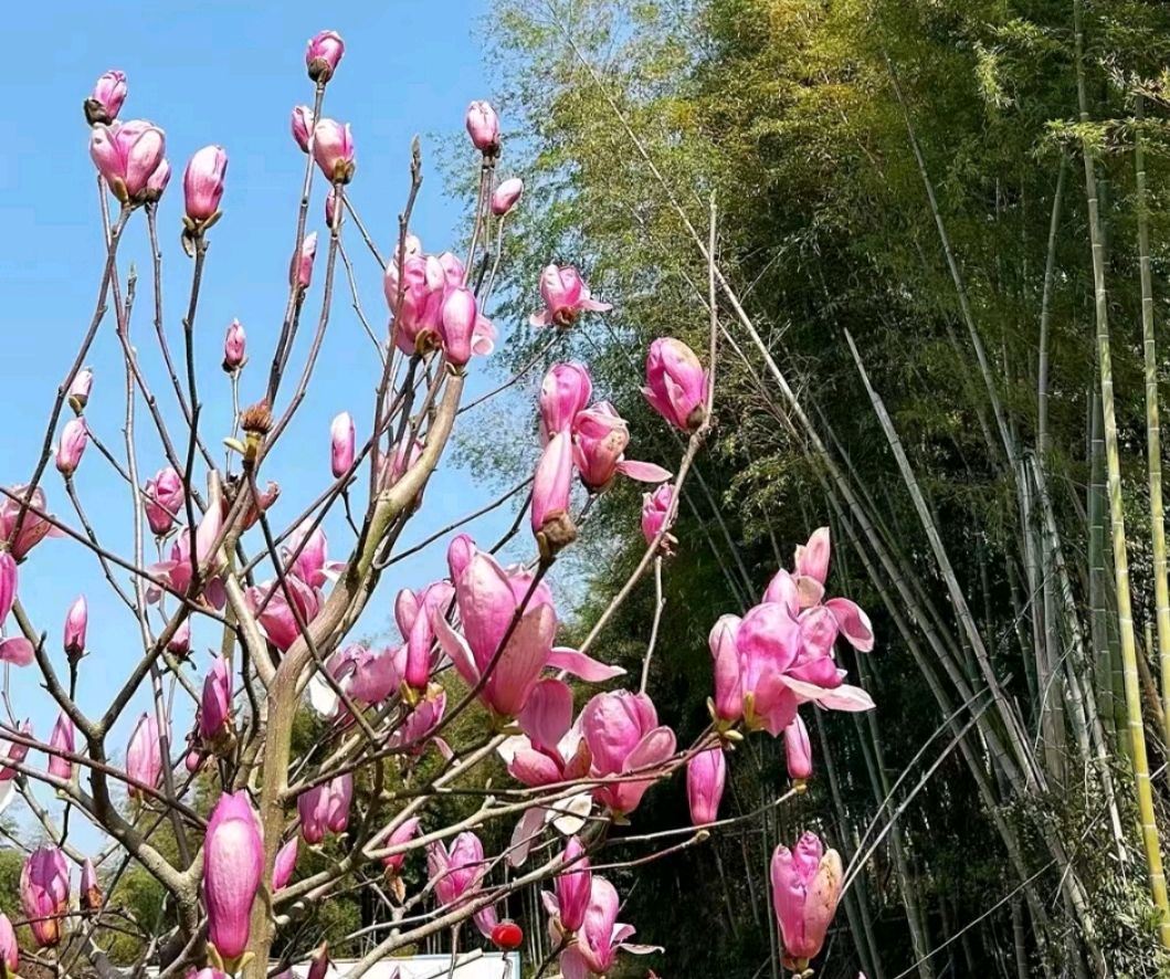 生活是一首诗