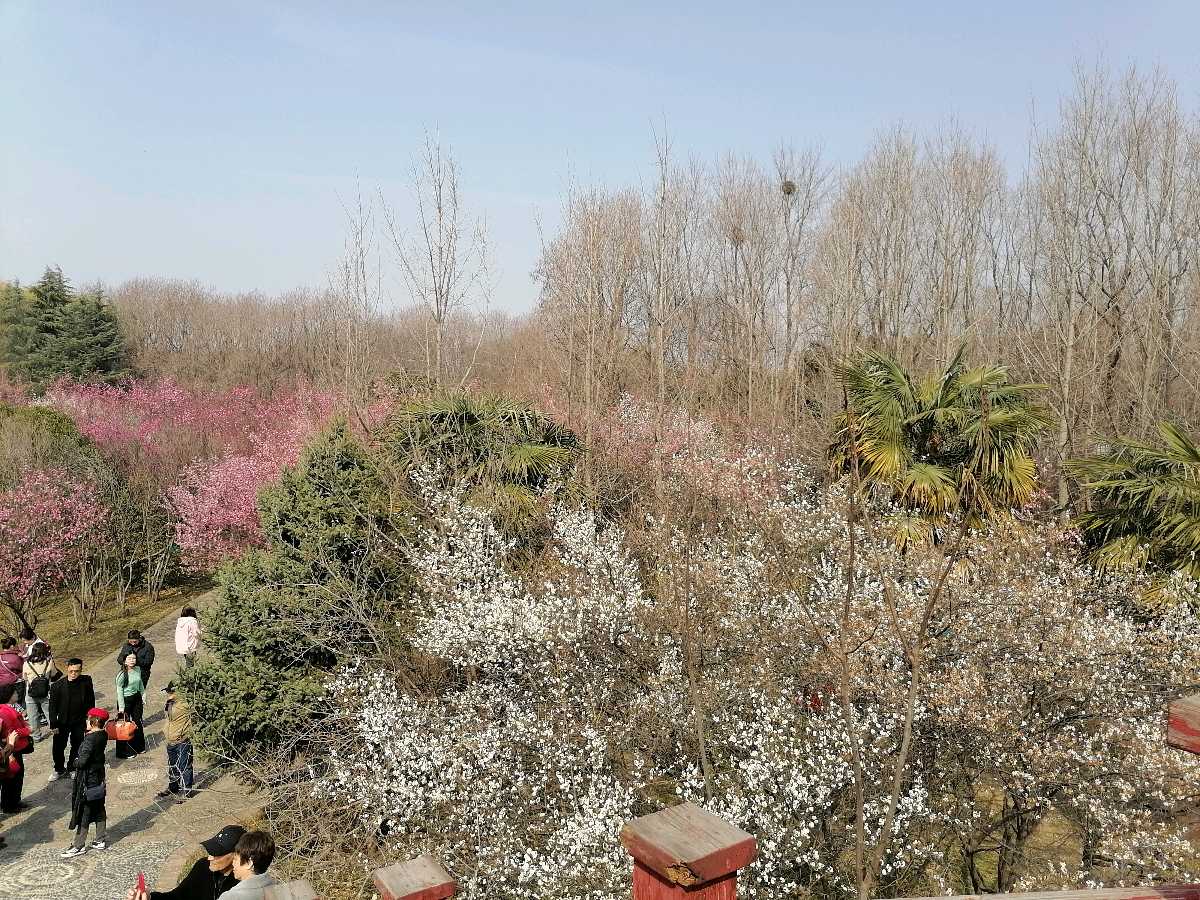 生活是一首诗（图3）