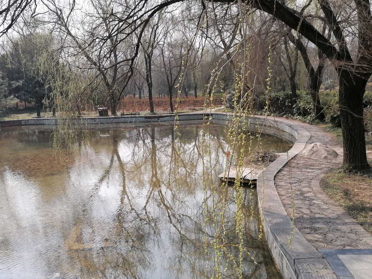 生活是一首诗（图2）