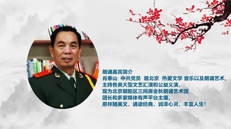 卖火柴的小女孩（一）‖ 丹麦 安徒生 合诵/泰山 肖柳师蒙（图3）